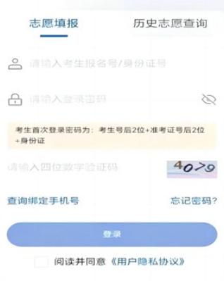 八桂高考