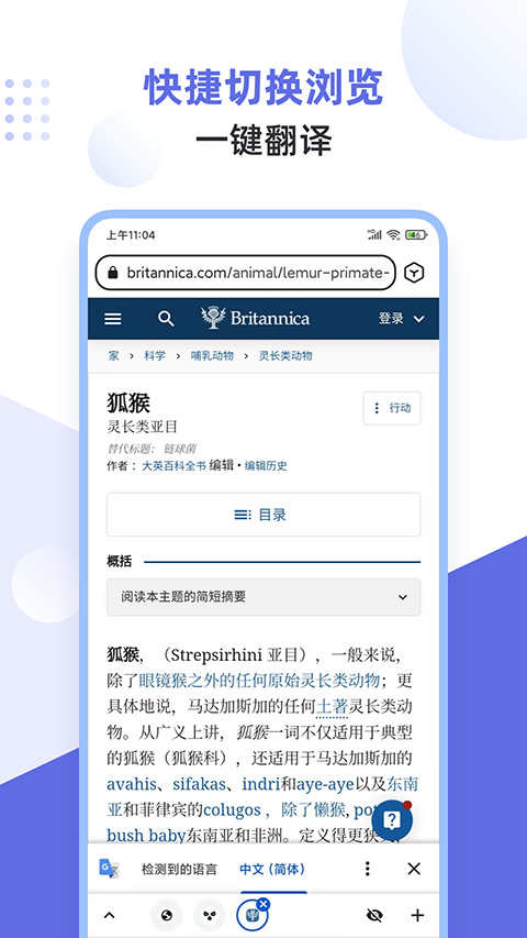 狐猴手机浏览器截图1
