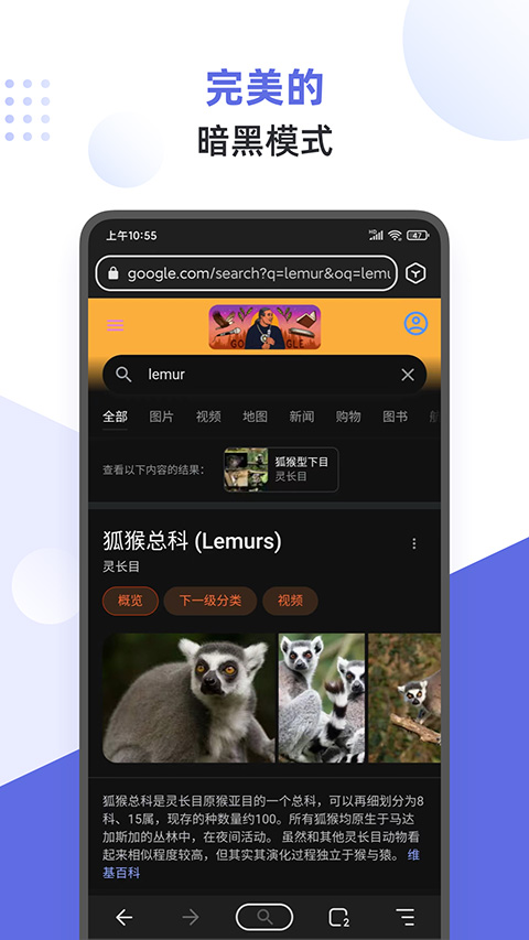 狐猴手机浏览器截图5