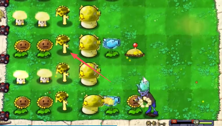 植物大战僵尸杨桃版手机版