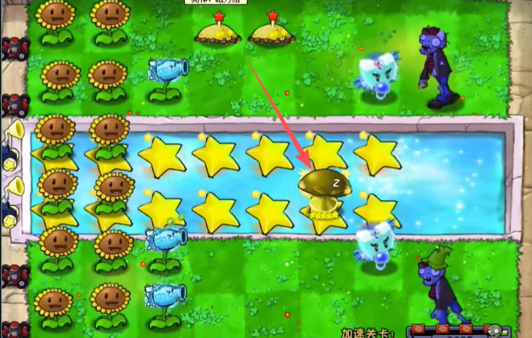 植物大战僵尸杨桃版手机版