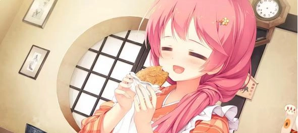 千恋万花冷狐版全CG