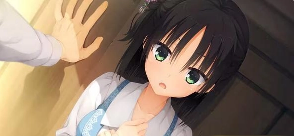 千恋万花冷狐版全CG