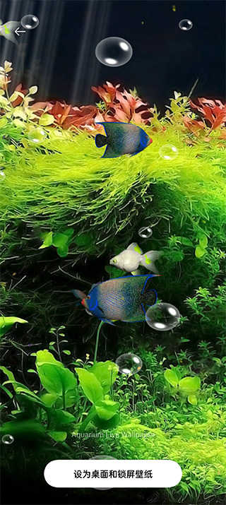 水族馆截图4