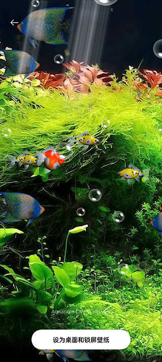 水族馆截图3