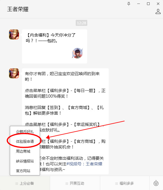 王者荣耀体验服