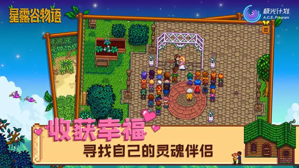 星露谷美化版截图2