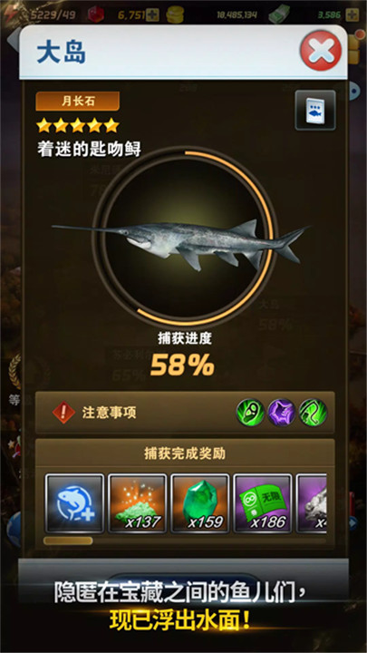 钓鱼发烧友安卓版截图2