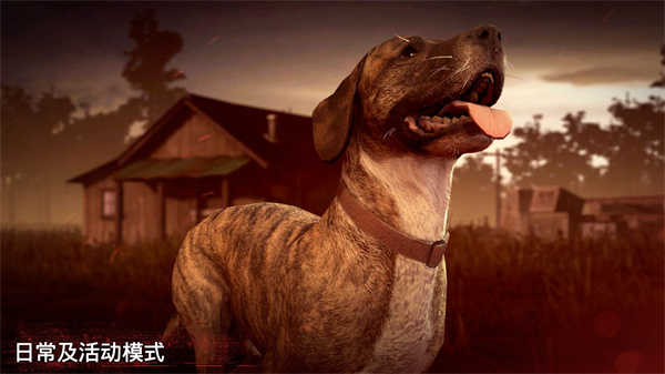 勇闯死人谷2汉化版截图4