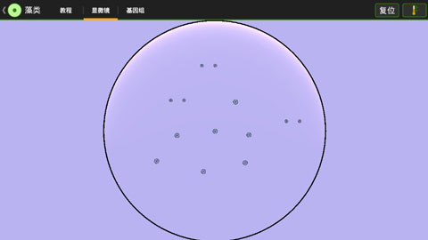 细胞实验室v103汉化版截图1