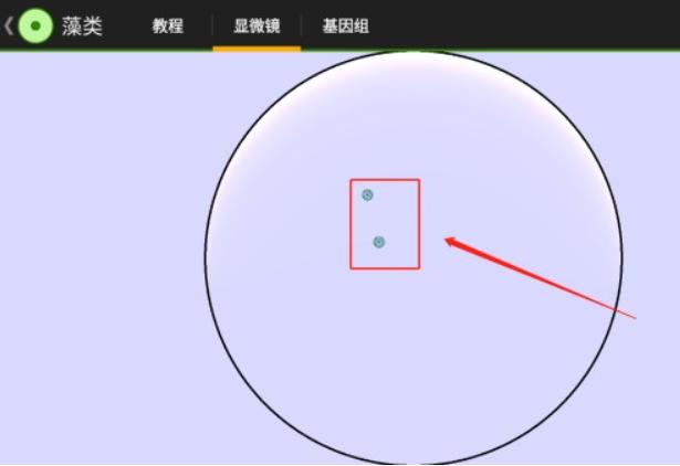 细胞实验室v103汉化版