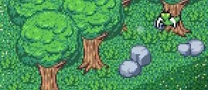 寻找夏日的宝物