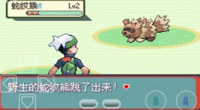 精灵宝可梦绿宝石金手指