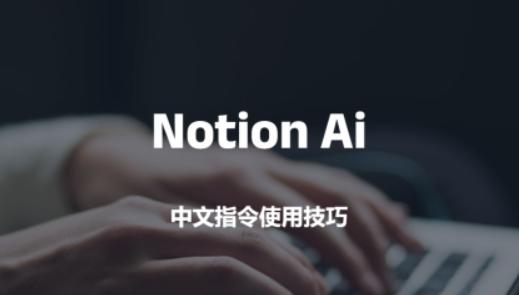 notionai中文版