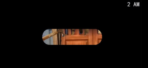 熊大的午夜后宫