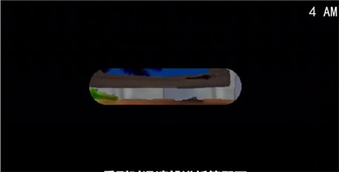 熊大的午夜后宫