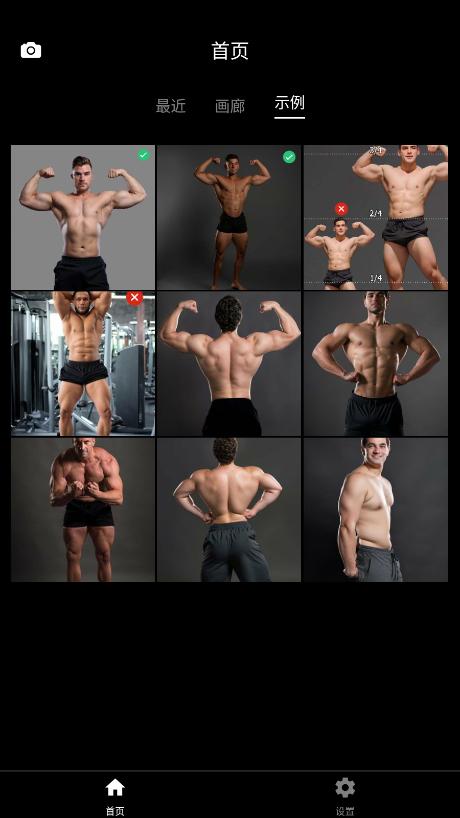 gigabody
