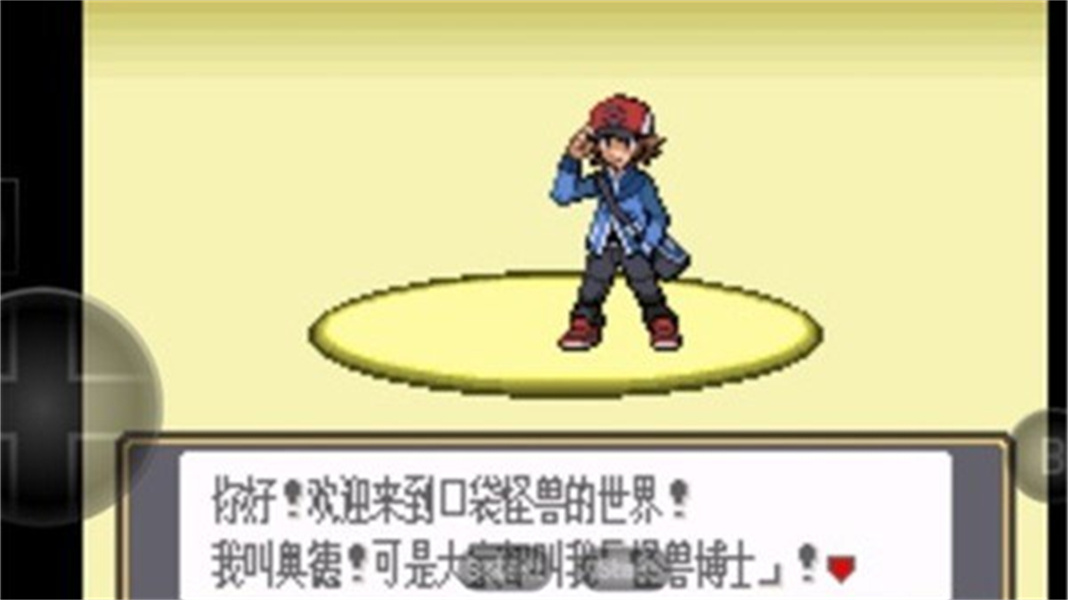 口袋妖怪黑白中文版截图2