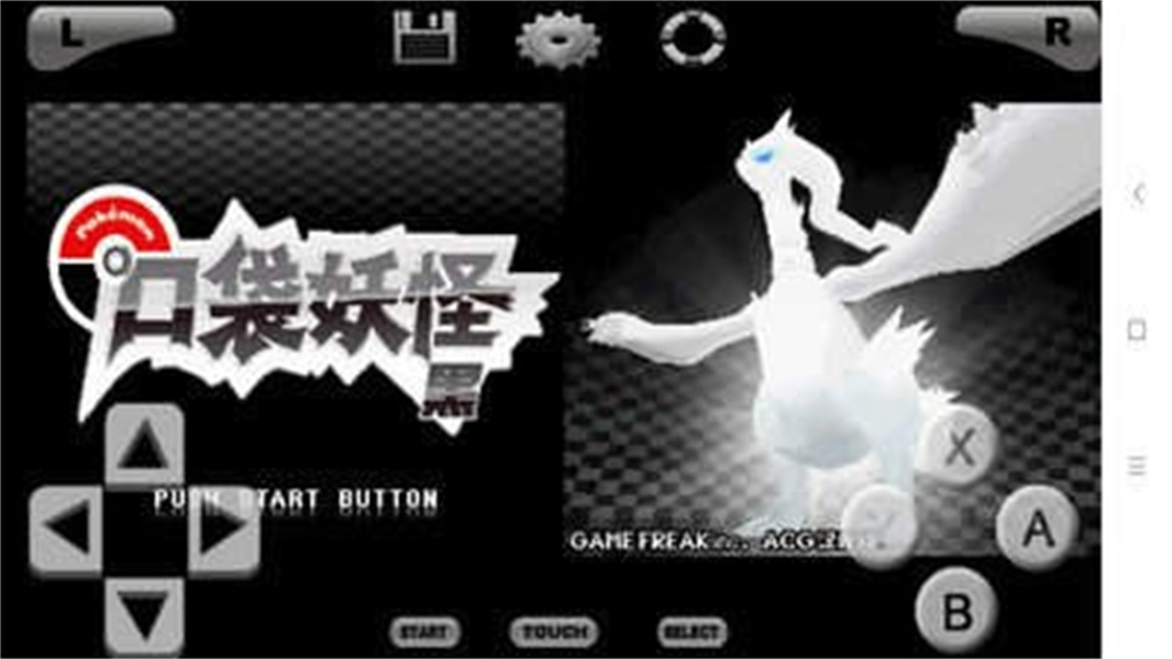 口袋妖怪黑白中文版截图1