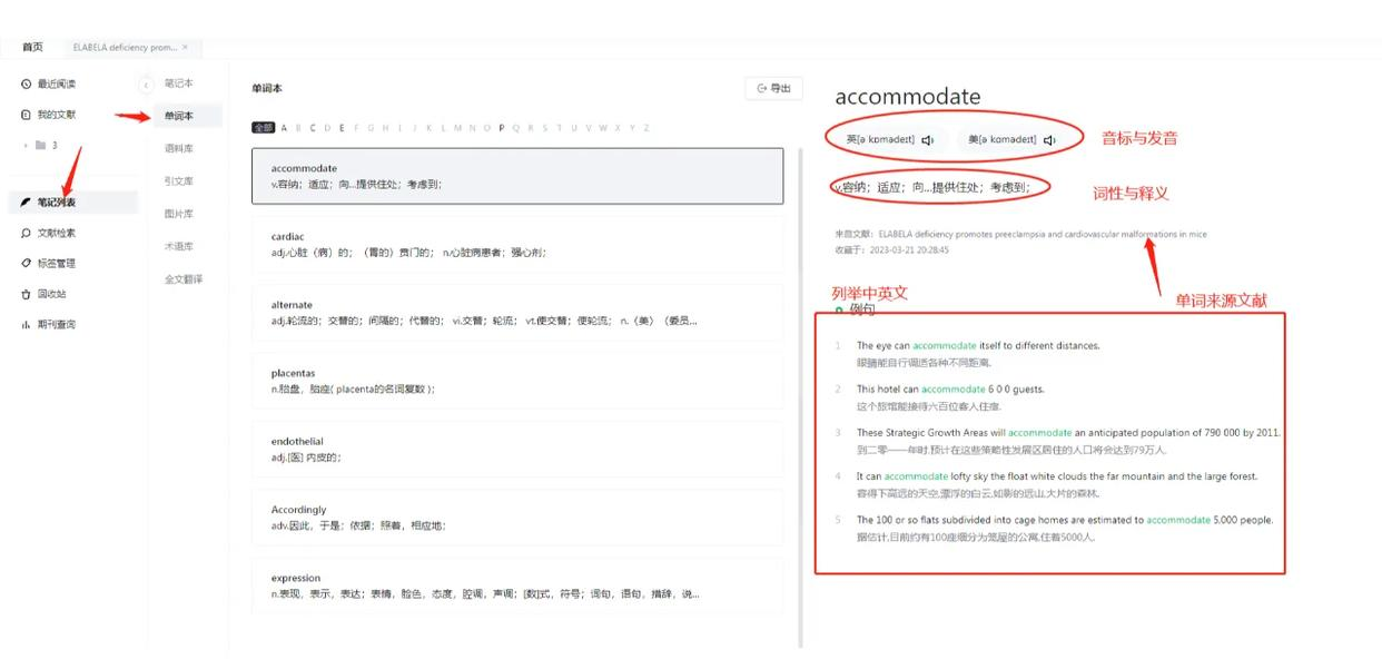 小绿鲸英文文献阅读器