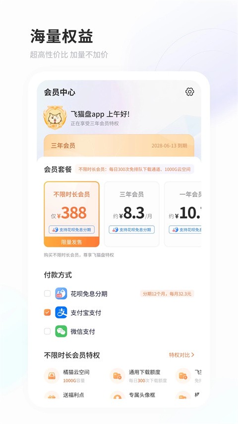 飞猫云网盘截图1