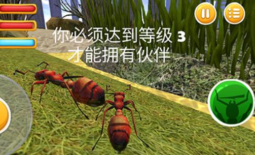 蚂蚁部落手机版