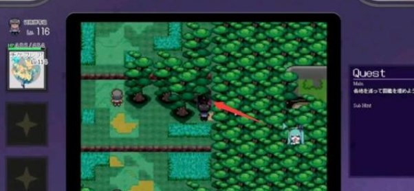 宝可梦迷之规则