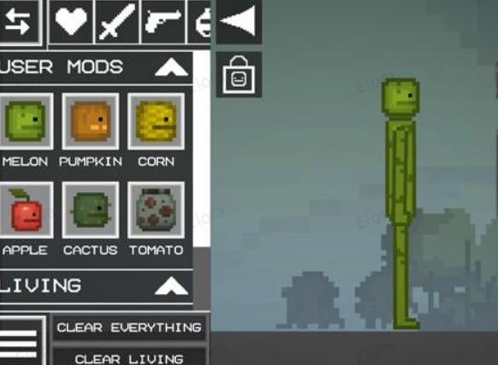 甜瓜游乐场29.5版本