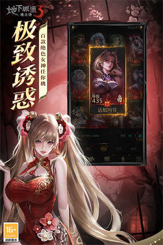 地下城堡3魂之诗截图1
