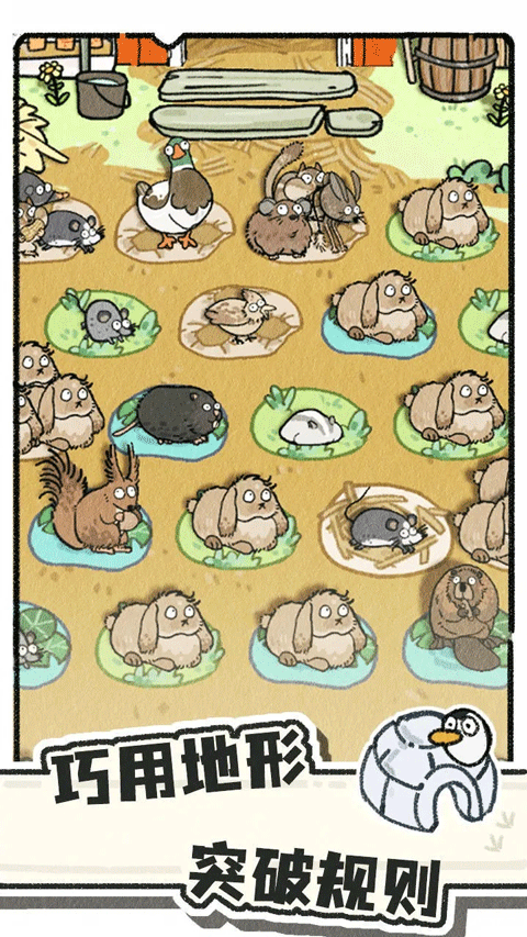 猫神牧场汉化版截图3