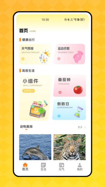 顶萌小组件截图4
