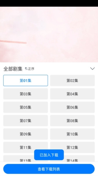 雷龙影视观看
