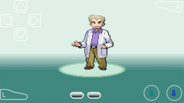 口袋妖怪叶绿完美汉化版截图3