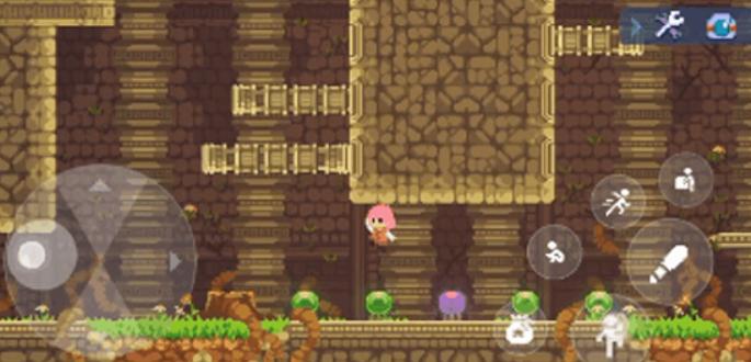 不死鸟传说觉醒