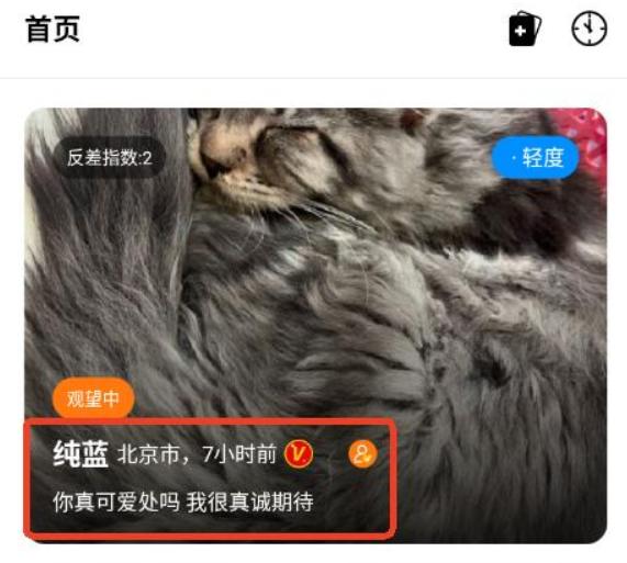 猫匿app