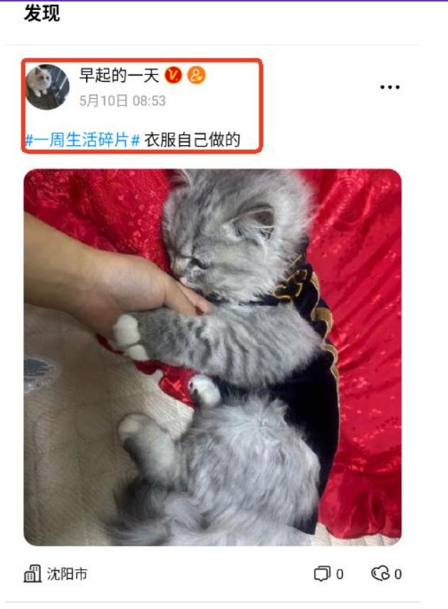 猫匿app