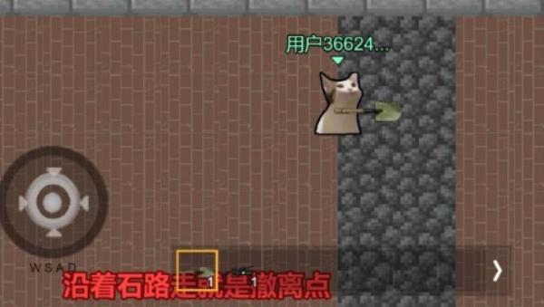 猫猫突围小游戏