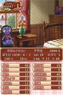 美少女梦工厂4完璧版截图2