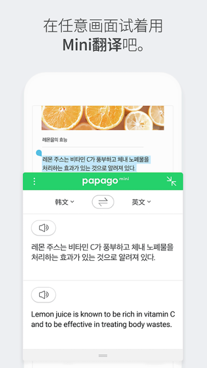 papago中韩翻译软件安卓版截图2