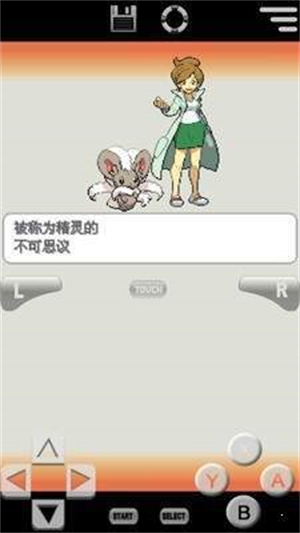 口袋妖怪白2汉化版截图3