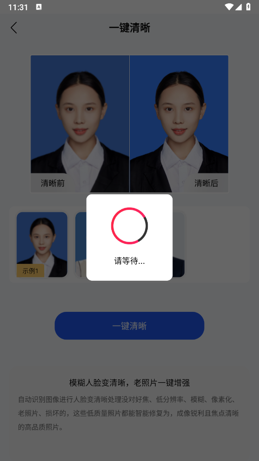 旗帜照片处理工具