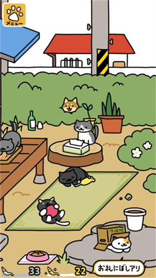猫咪后院2国际服截图4