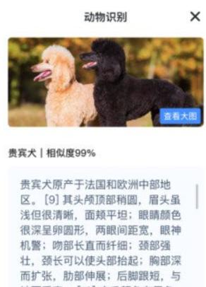 春枫扫描软件