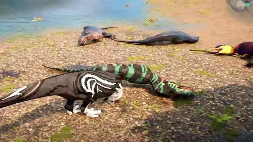 龙岛异兽起源阿乐同款