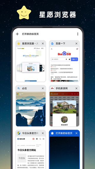 星愿浏览器截图3