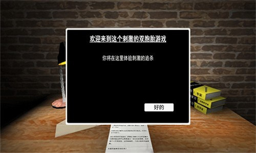 惊魂双胞胎汉化版截图1