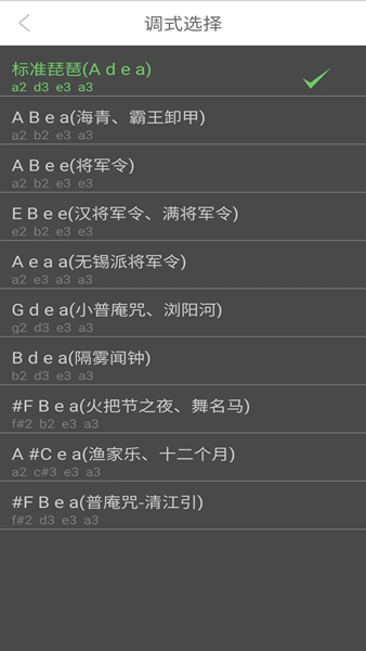 智能琵琶调音器截图3