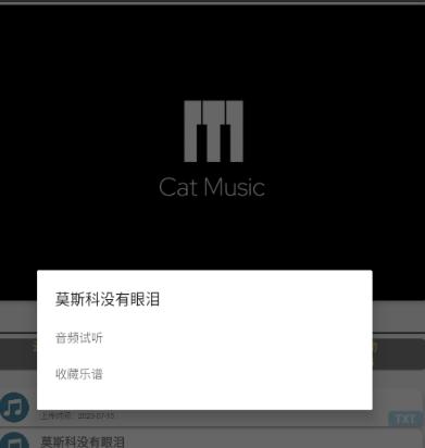 CatMusic