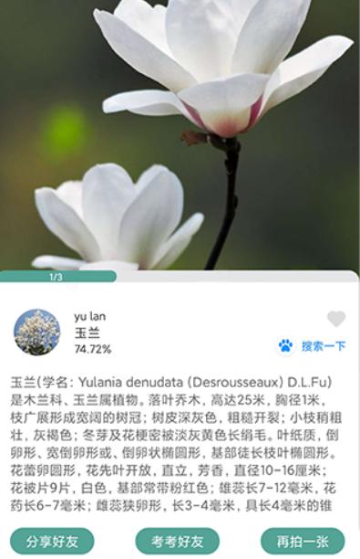 识花君拍照识别植物