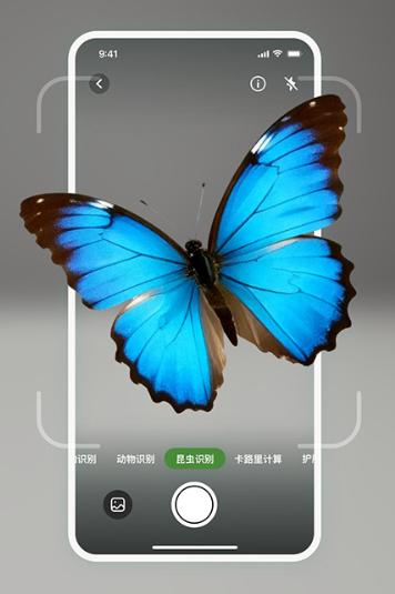 识花君拍照识别植物